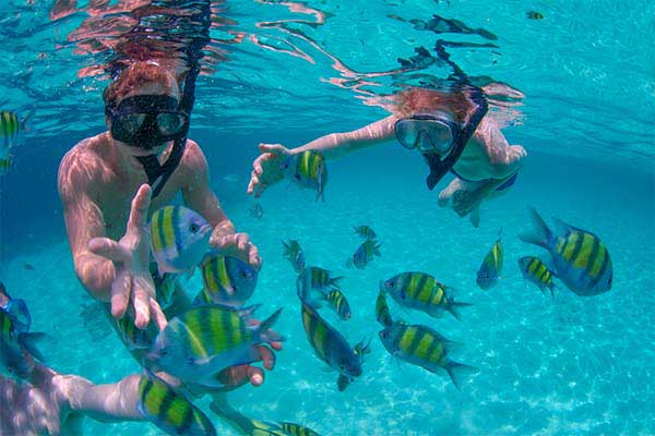 Snorkeling Tours